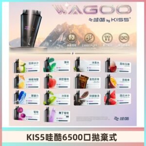 Kis5電子煙 Kiss拋棄式哇酷|WAGOO6500口一次性電子煙
