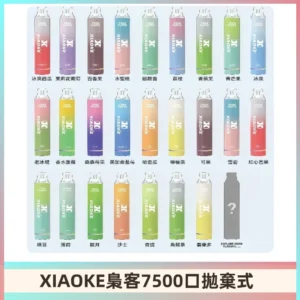 梟客XIAOKE|7500口可發光拋棄式電子煙 跑馬燈一次性